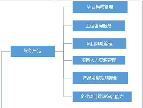 项目管理服务产品