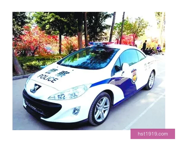 90后警花王梦溪都市守护梦想与信念忠诚使命霓虹下燃烬青春追光